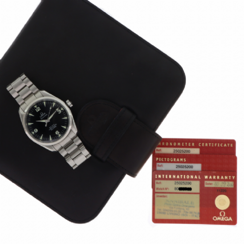 Omega Seamaster Railmaster presso Castignoli - Orologeria e gioielleria a Monza